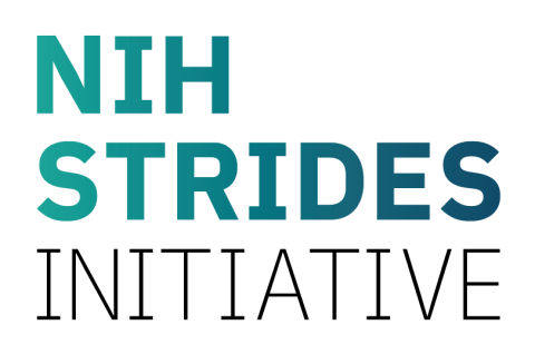 Strides Initiative